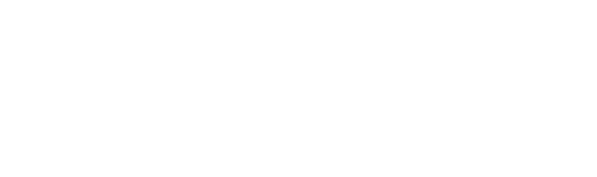 Triathlon im SC DHfK Leipzig e.V. Logo